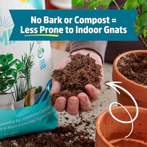 Back to the Roots 100% Organic Indoor Potting Mix (6 Quart), Promotes Healthy Houseplant Growth, Made in The USA — view 5