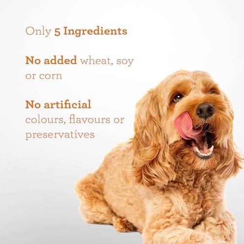 DreamBone Protein Rings with Real Chicken & Sweet Potato, 119 g, Rawhide-Free Protein Ring Chews, Artificial Free, for All Dogs — view 5