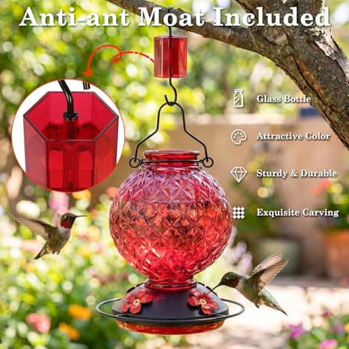 Tegarbed 25 OZ Glass Hummingbird Feeder for Outdoors, Leak Proof Hummingbird Feeder with Ant Moat, 4 Bee Resistant Feeding Ports, Easy Clean Wide Mouth Design, 360° Perch, Hanging Nectar Feeder, Red — view 4
