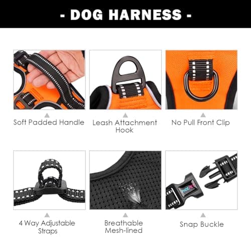 PHOEPET Reflective Dog Harness Large Breed Adjustable No Pull Vest with with Handle 2 Metal Rings 3 Buckles [Easy to Put on & Take Off](M, Orange) — view 3