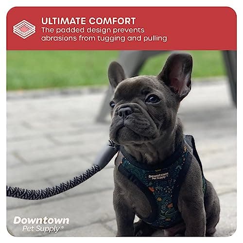 Downtown Pet Supply Step in Dog Harness No Pull, X-Large, Dinosaur - Adjustable Harness with Padded Mesh Fabric and Reflective Trim - Buckle Strap Harness for Dogs — view 6