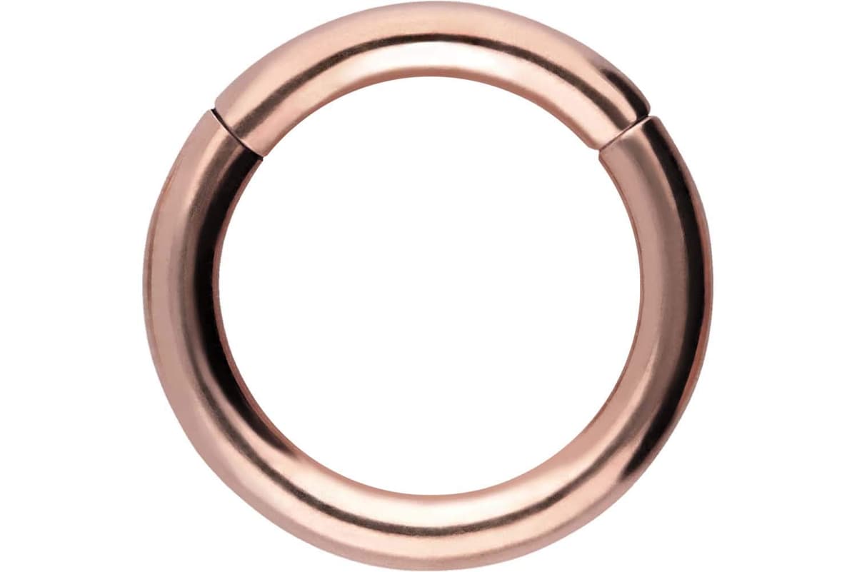 PIERCINGLINE Anillo segmento Clicker de acero quirúrgico – Piercing en oro, plata, rosa, negro o azul – para nariz, tabique, oreja, hélice o tragus — view 111