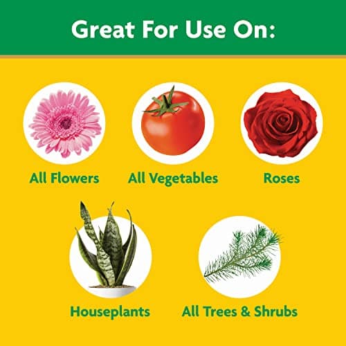 Miracle-Gro Water Soluble All Purpose Plant Food, 3 lb. — view 3