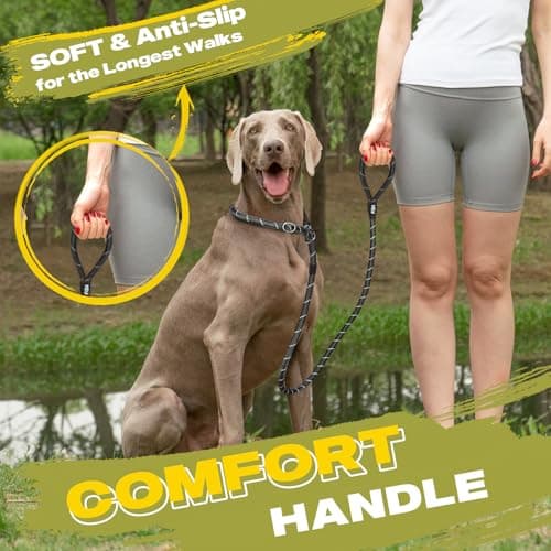 Fida Durable Slip Lead Dog Leash, 6 FT x 1/2" Heavy Duty Dog Loop Leashes, Comfortable Strong Rope Slip Leash for Large Medium Dogs, No Pull Pet Training Lead with Highly Reflective(1/2", Black) — view 5
