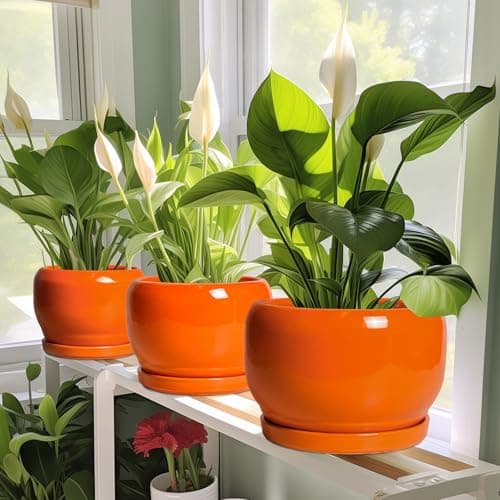SQOWL Ceramic Pot for Plants - 8 Inch Plant Pot Indoor Outdoor, Modern Round Planter with Drainage Hole and Saucer, Decorative Planter for Flower, Office Decor, Garden Gifts for Women, Orange — view 5