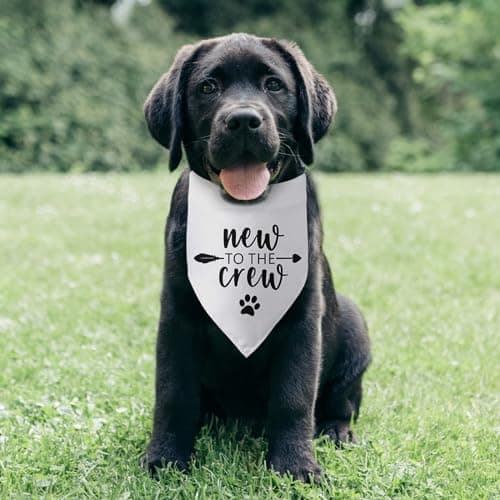 New to The Crew Dog Bandana New Puppy Announcement Gift for New Owners Puppy Bandana Dog Owner Gifts Triangle Bibs Scarf Accessories for Small Medium Dogs Pets — view 5