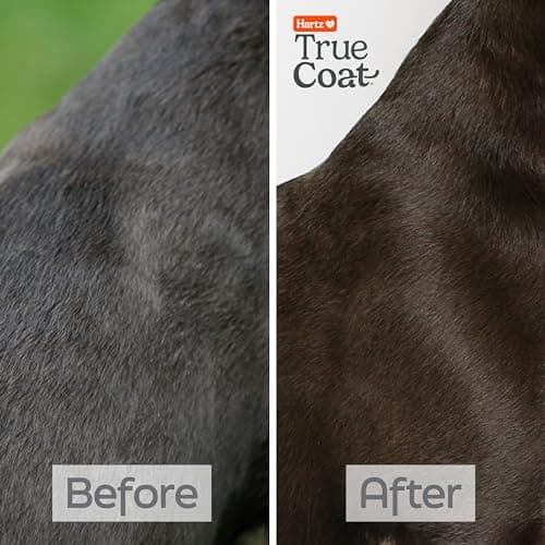 True Coat Short & Smooth Coat Dog Shampoo, 5 in 1 Soothes & Shines with Oat Milk, Coconut Oil & Vitamin E, 16 oz — view 4