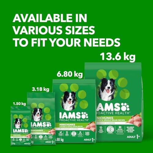 IAMS Proactive Health Minichunks Dry Dog Food – Crunchy Kibble for Adult Dogs – Chicken & Whole Grain Recipe – 1.50KG (3.3LB) Bag — view 9