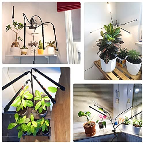 Wolezek Grow Lights for Indoor Plants, 80 LED 4 Heads Full Spectrum Grow Light with Clip, Plant Light with 5000K/3000K/660nm LED Chips, Auto Timer 6/12/16H, Grow Lamp for Seed Starting, Winter Growth — view 6