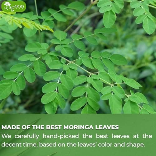 TOG999, Premium 30 Moringa Leaf Tea Bags, 100% Natural & Pure. Loose Leaf Moringa Herbal Tea. No Sugar, No Caffeine, No Gluten, Vegan. — view 5