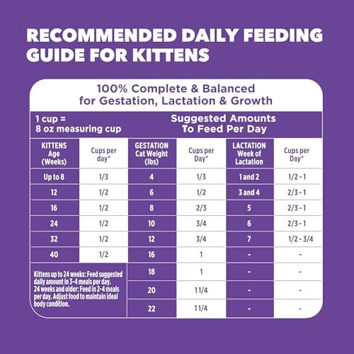 IAMS Proactive Health Kitten Dry Cat Food, Healthy Kitten Food Dry Recipe with Real Chicken in Every Bite, 3.5 Lb. Bag — view 8