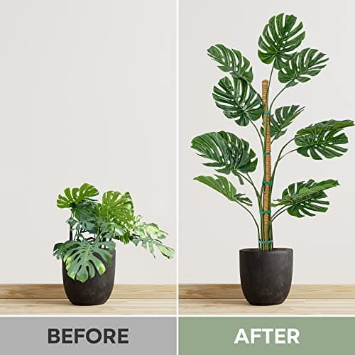 K-Brands 2 Pack 28 Inches Bendable Moss Pole Monstera Plant Support for Climbing Indoor Plants - Stakes for Potted Climbers - Tall Sticks Indoor Trellis for Houseplants - Accessories for Monstera Pot — view 4