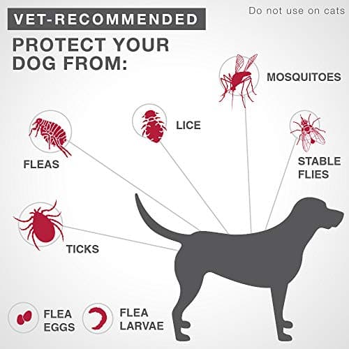 K9 Advantix II - Flea/Tick Prevention - Vet Recommended - Large Dog - 2-Pk — view 2