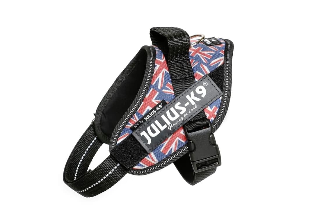 Julius-K9, 16IDC-AM-M, IDC Powerharness, dog harness, Size: Mini, Aquamarine — view 300