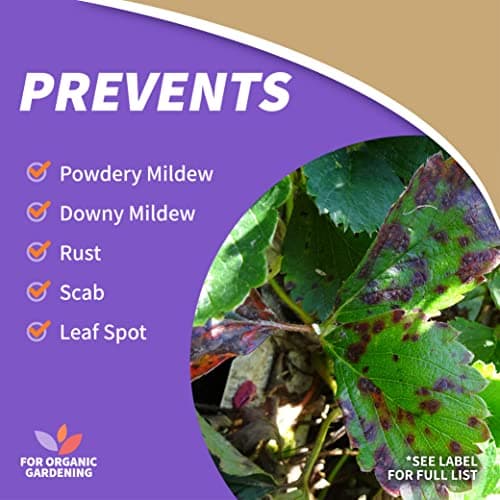Bonide Captain Jack's Neem Oil, 32 oz Ready-to-Use Spray, Multi-Purpose Fungicide, Insecticide and Miticide for Organic Gardening — view 5