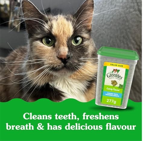 GREENIES Feline Cat Treats Natural Dental Care, Catnip Flavour, 9.75oz. Tub — view 3