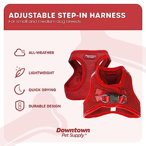 Downtown Pet Supply Step in Dog Harness for Small Dogs No Pull, Large, Red - Adjustable Harness with Padded Mesh Fabric and Reflective Trim - Buckle Strap Harness for Dogs — view 3