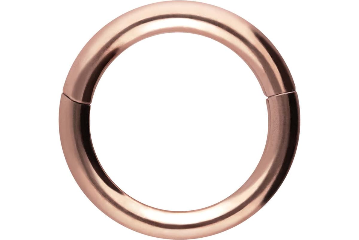 PIERCINGLINE Anillo segmento Clicker de acero quirúrgico – Piercing en oro, plata, rosa, negro o azul – para nariz, tabique, oreja, hélice o tragus — view 97