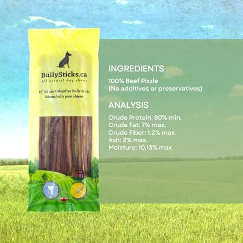 ODOURFREE 12" Standard Bully Sticks for Dogs (10 Pack) Dental Chew - Rawhide Free - Supports Dental Hygiene - Single Beef Ingredient - Consistent Size - Canadian Company — view 2