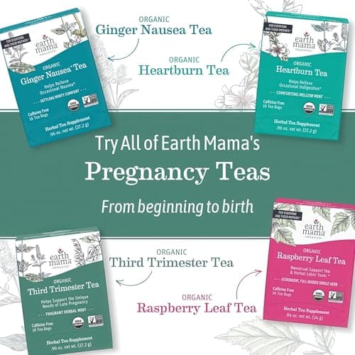 Earth Mama Organic Red Raspberry Leaf Tea | Labor Prep & Menstrual Support Herbal Tea, Pregnancy & Postpartum Care Recovery | 32 Teabags | Caffeine Free & Non-GMO — view 5