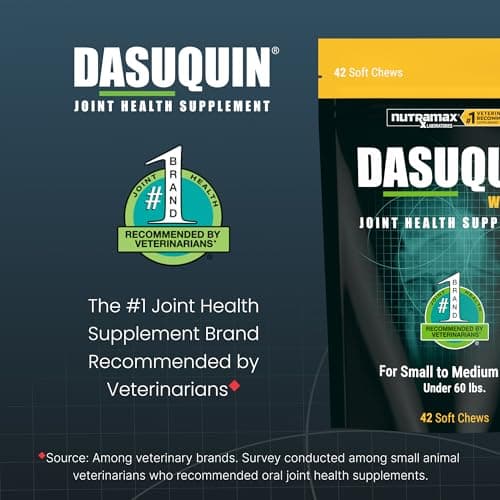 Nutramax Dasuquin for Small to Medium Dogs, Joint Health Supplement, Contains Glucosamine for Dogs, Plus Chondroitin, ASU, MSM and More, Supports Healthy Joints, Soft Chews, 42 Count — view 2