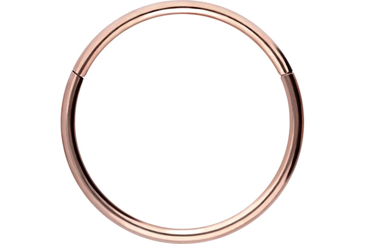 PIERCINGLINE Anillo segmento Clicker de acero quirúrgico – Piercing en oro, plata, rosa, negro o azul – para nariz, tabique, oreja, hélice o tragus — view 50
