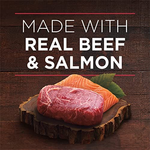 Purina ONE High Protein Wet Dog Food True Instinct Tender Cuts in Dog Food Gravy With Real Beef and Wild-Caught Salmon - (Pack of 12) 13 oz. Cans — view 2