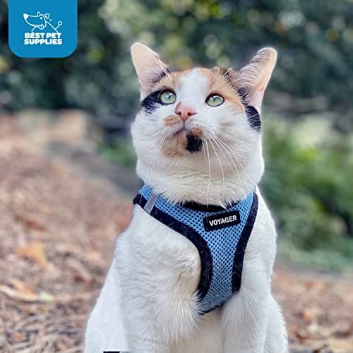 Best Pet Supplies Voyager All Weather No Pull Step-in Mesh Dog Harness with Padded Vest, Best Pet Supplies, Small, Baby Blue Base — view 10