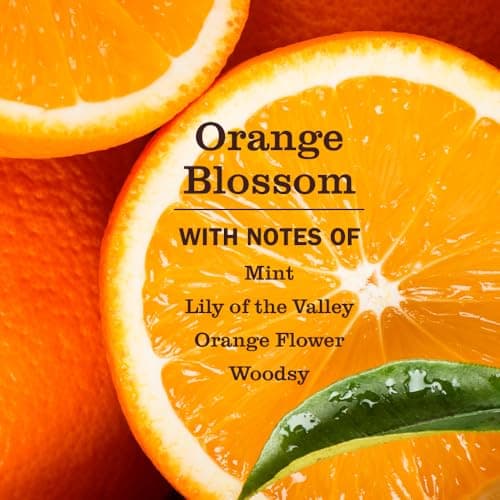 Mrs. MEYER'S CLEAN DAY Pet Stain & Odor Fighter, Orange Blossom Scent, 16oz — view 2