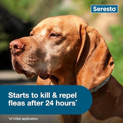 Seresto Flea & Tick Collar For Dogs Over 18 lbs., Treatment & Prevention, Vet-Recommend, 8 Month Protection — view 4