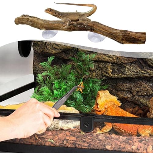 2 Pieces Snake Climbing Branch, Wood Reptile Bearded Dragon Branches Decor,Non Slip Habitat Decoration, Climbing Perch for Bearded Dragon, Gecko, Frogs, Snake Chameleons Spiders Terrarium — view 5