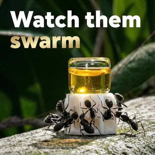 Sunburst Ant Nectar - 120 ml Premium Liquid Food (2017 Improved Version) — view 3