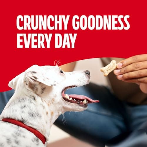 Milk-Bone Crunchy Small Dog Treats, 24 Oz. Boxes, Original Beef Flavor (Pack of 12) — view 3