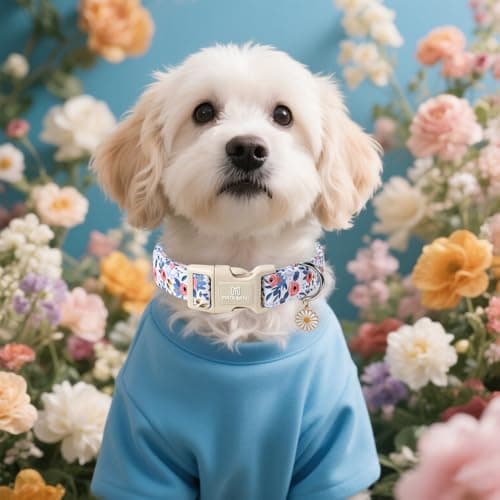 Maca Bates Blue Flower Dog Collar for Small Girl Boy Dogs with Daisy Charm,Blue Floral Pattern,Soft Adjustable Durable Cute Soft Comfortable Gift Collars for Male Female Puppy with Safety Buckle