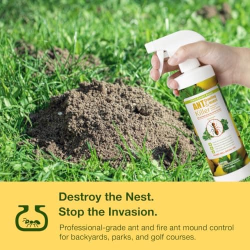 EcoVenger By EcoRaider Ant Killer & Crawling Insect Killer, 16 OZ Ready to Use, Indoor & Outdoor, Kills & Repels, Lasting Prevention, Natural & Non-Toxic Plant Based Formula, Pleasant Citrus Scent — view 4