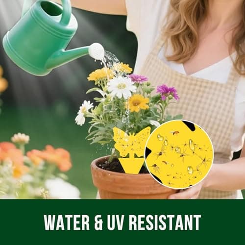 Garsum Fruit Fly Trap Indoor and Outdoor, 36 Pack Gnat Sticky Traps for House Plants, Flying Insect Trap for Fungus Gnat,Mosquitos, White Flies — view 2