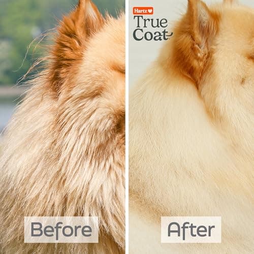True Coat Thick Coat Dog Shampoo, 5 in 1 De‑Sheds & Softens with Oat Milk, Coconut Oil & Aloe, 16 oz — view 5