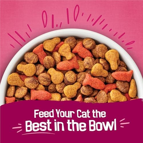 Purina Friskies Gravy Swirlers with Flavors of Chicken, Salmon and Gravy Dry Cat Food - 22 lb. Bag — view 6