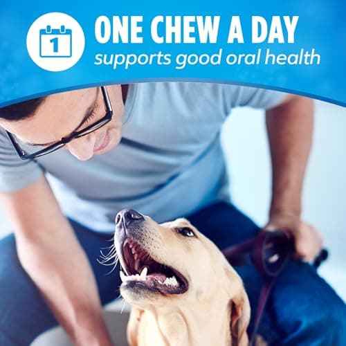 DentaLife Daily Oral Care Dog Treats for Small and Medium Dogs, Chewy Dental Treat to Freshen Breath and Fight Tartar, Chicken Flavor - 40 ct. Pouch — view 6