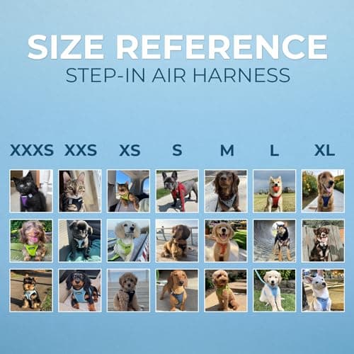 Best Pet Supplies Voyager Step-in Air Harness - All Weather Mesh, Reflective, No Pull Harness for Dogs, Cats - Secure with Hook & Loop Fastener, Buckle, Double D-Rings - Fuchsia, S — view 5