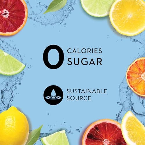 Icelandic Glacial Natural Spring Alkaline Water, 330 ml / 11.1 Fl Oz Cans (Pack of 10) — view 2