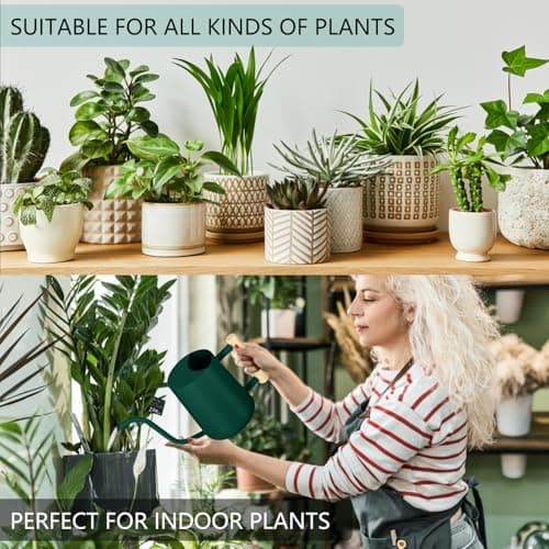 Watering Can Indoor Plants, 35oz Small Watering Can Indoor Stainless Steel Metal Watering Can Modern Decorative Watering Pot with Long Spout for Indoor House Plant Bonsai Garden Flowers (Alpinegreen) — view 3