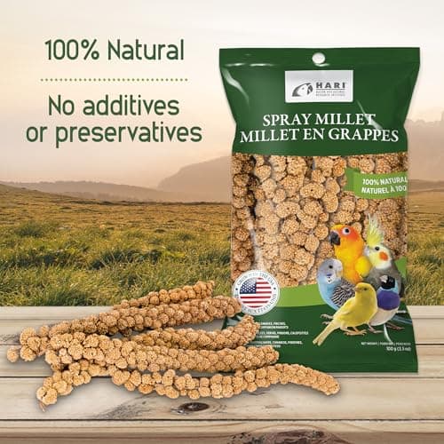 Hari Spray Millet - 500 g (17.6 oz)