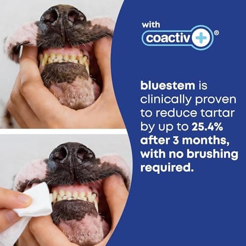 bluestem Cat and Dog Toothpaste – Scientifically Formulated Coactiv+ Pet Toothpaste Helps Reduce Plaque & Tartar, Freshens Breath, and Promotes Daily Dog and Cat Oral Care – Chicken Flavor (70g) — view 2