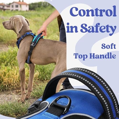 rabbitgoo Dog Harness Medium Breed, No Pull Pet Harness with 3 Buckles, Adjustable Soft Padded Dog Vest with Instant Control Handle, Easy Walking Reflective Pet Vest, Blue, M — view 4