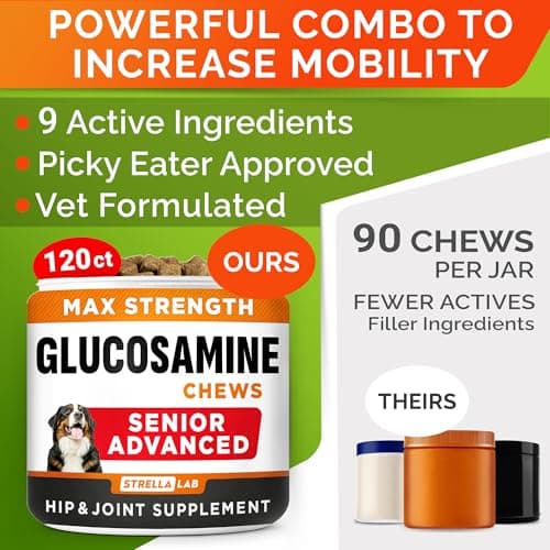 Senior Advanced Glucosamine for Dogs - Small + Large Breeds -Omega-3 Fish Oil - Chondroitin, MSM- Soft Chews for Older Dogs - Bacon Flavor - 120Ct — view 2