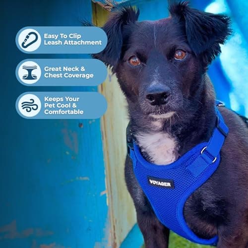 Voyager Step-in Lock Pet Harness - All Weather Mesh, Adjustable Step in Harness for Cats and Dogs by Best Pet Supplies - Royal Blue, S — view 2