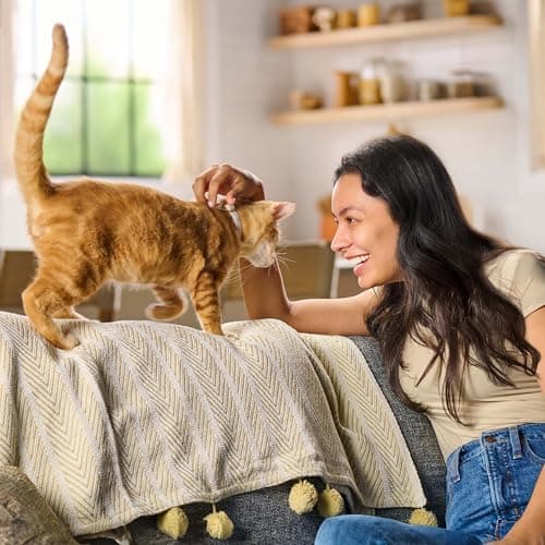 Meow Mix Original Choice Dry Cat Food, 6.3 Pound Bag — view 4