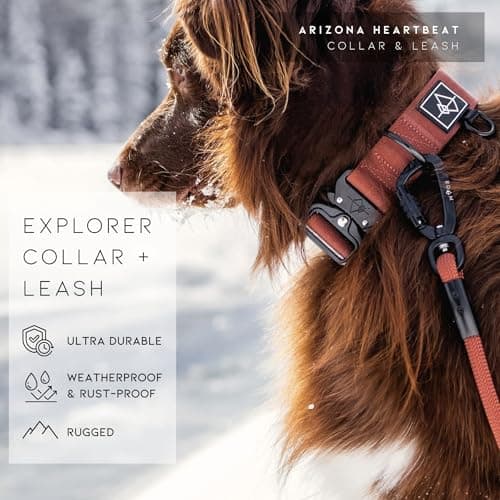 Made to ROAM Premium Dog Collar - Adjustable Heavy Duty Nylon Collar with Quick-Release Metal Buckle (California Horizon, Classic Size 4) — view 7