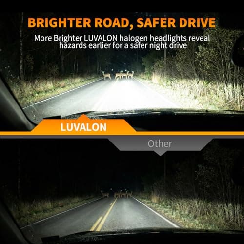 LUVALON H11 Headlight Bulb, 12V 55W H11 Halogen Headlight Bulbs, High Beam, Low Beam and Fog Light Replacement, Automotive Headlight Bulbs, High Performance, Super Bright, 2 Pack — view 4
